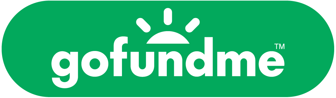 Logo ufficiale Gofundme - sostieni Sailingflag, progetto di Matteo Bandiera
